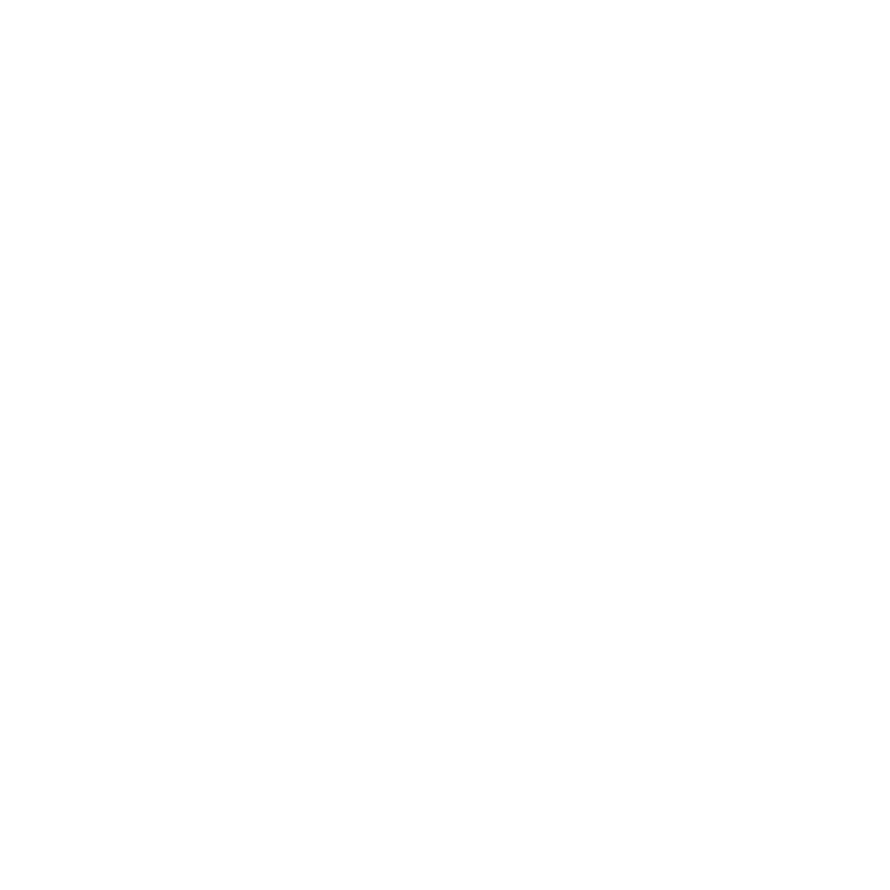 fn_logo